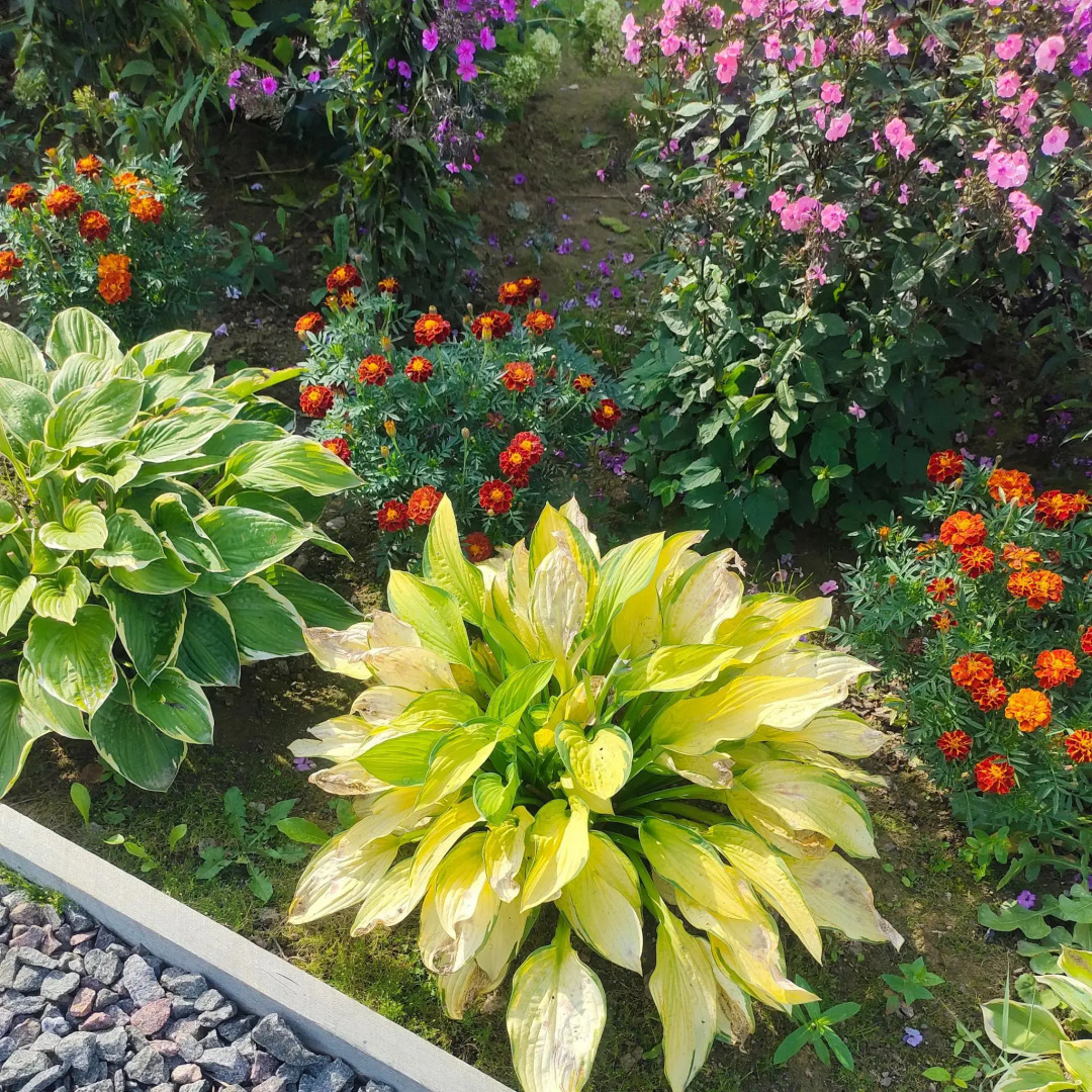 Уютный домик