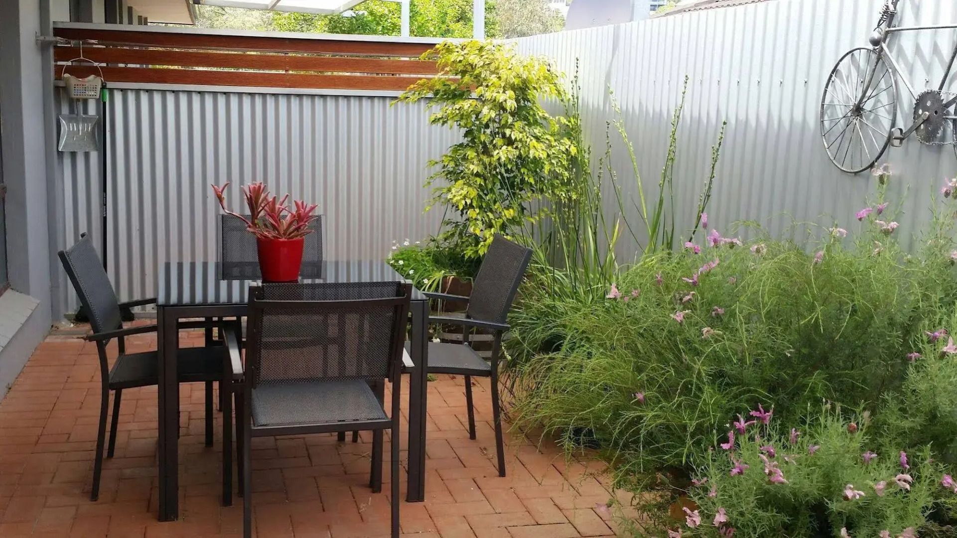 Albany Harbourside Apartments And Houses