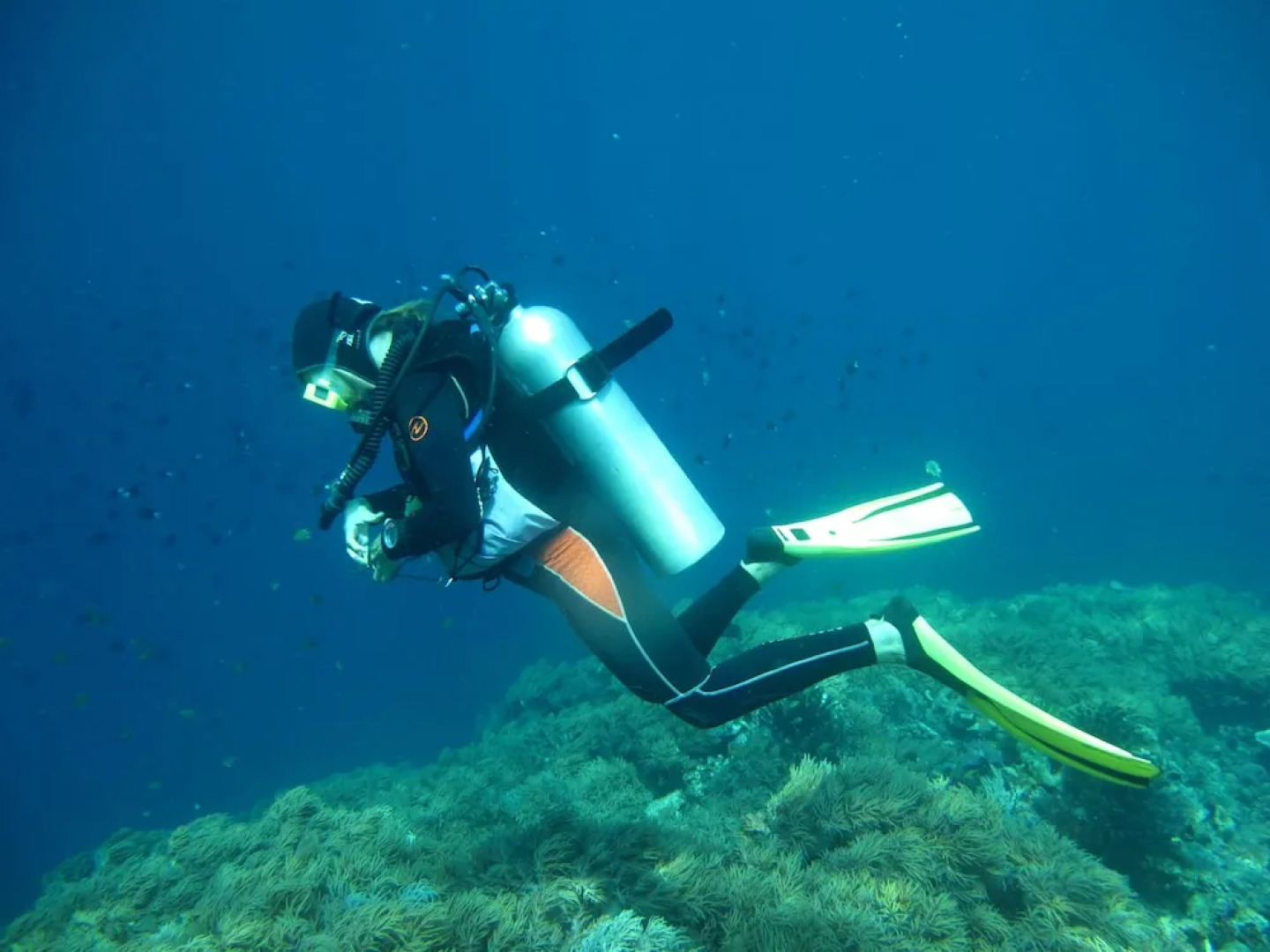 Artistic Diving Resort