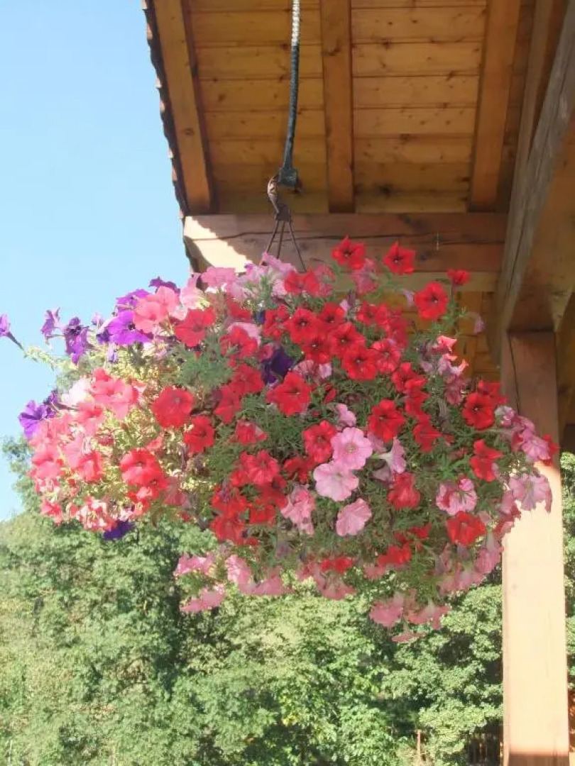 Gîte Les Grands Champs