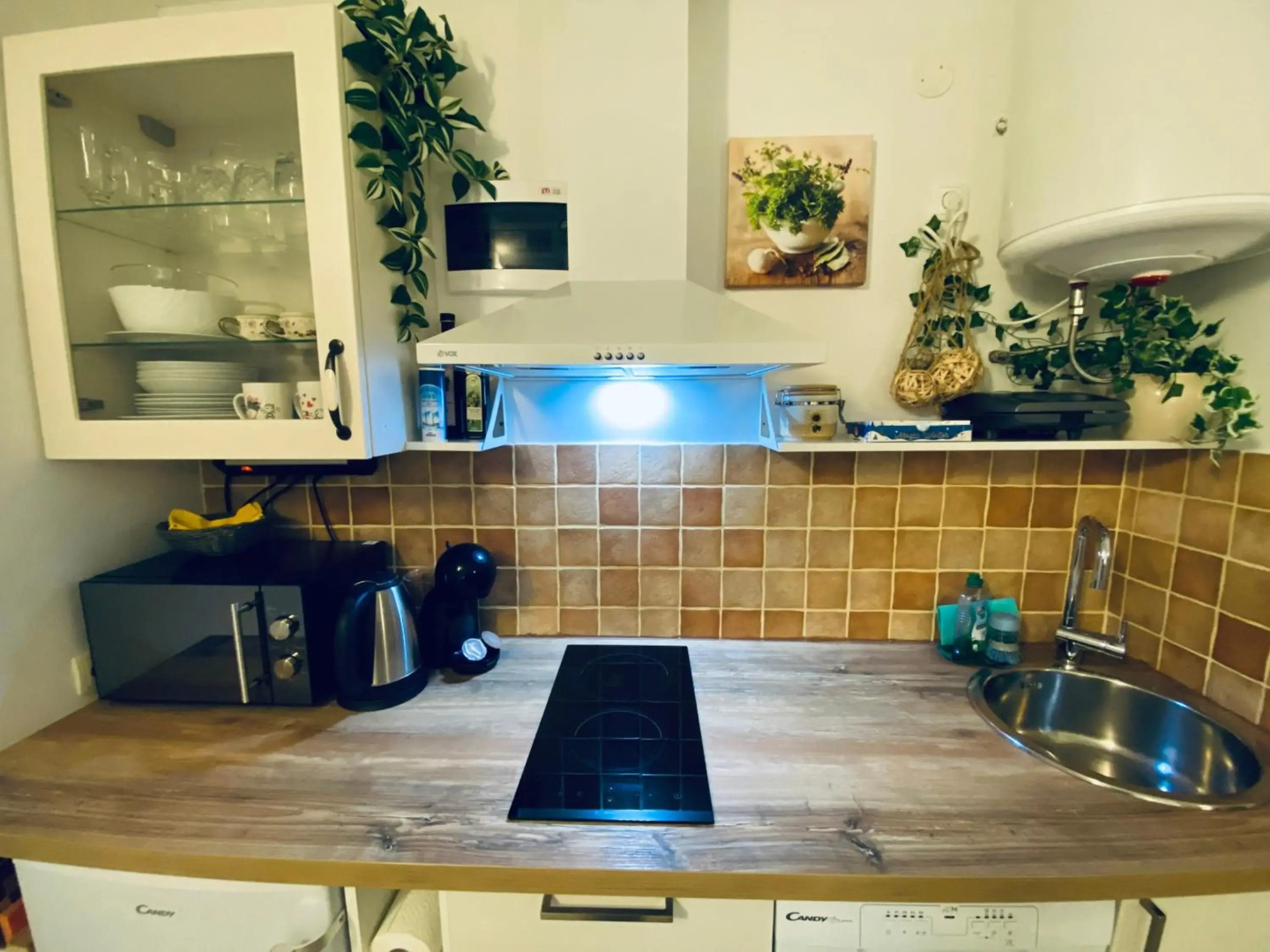 Garden Paradise Bled Apartments - garden, pond and castle view