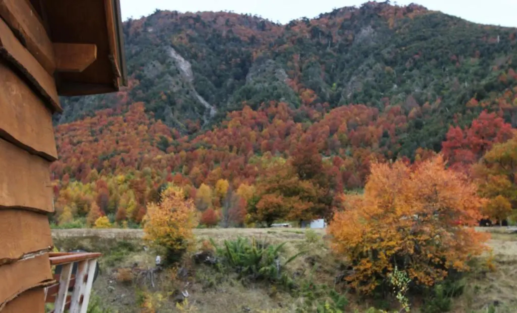 Chile Wild - Las Vertientes