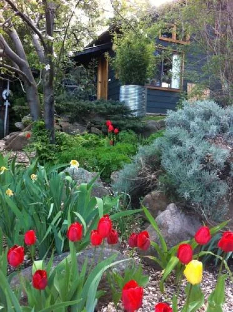 Bimblegumbie Mountain Lodge