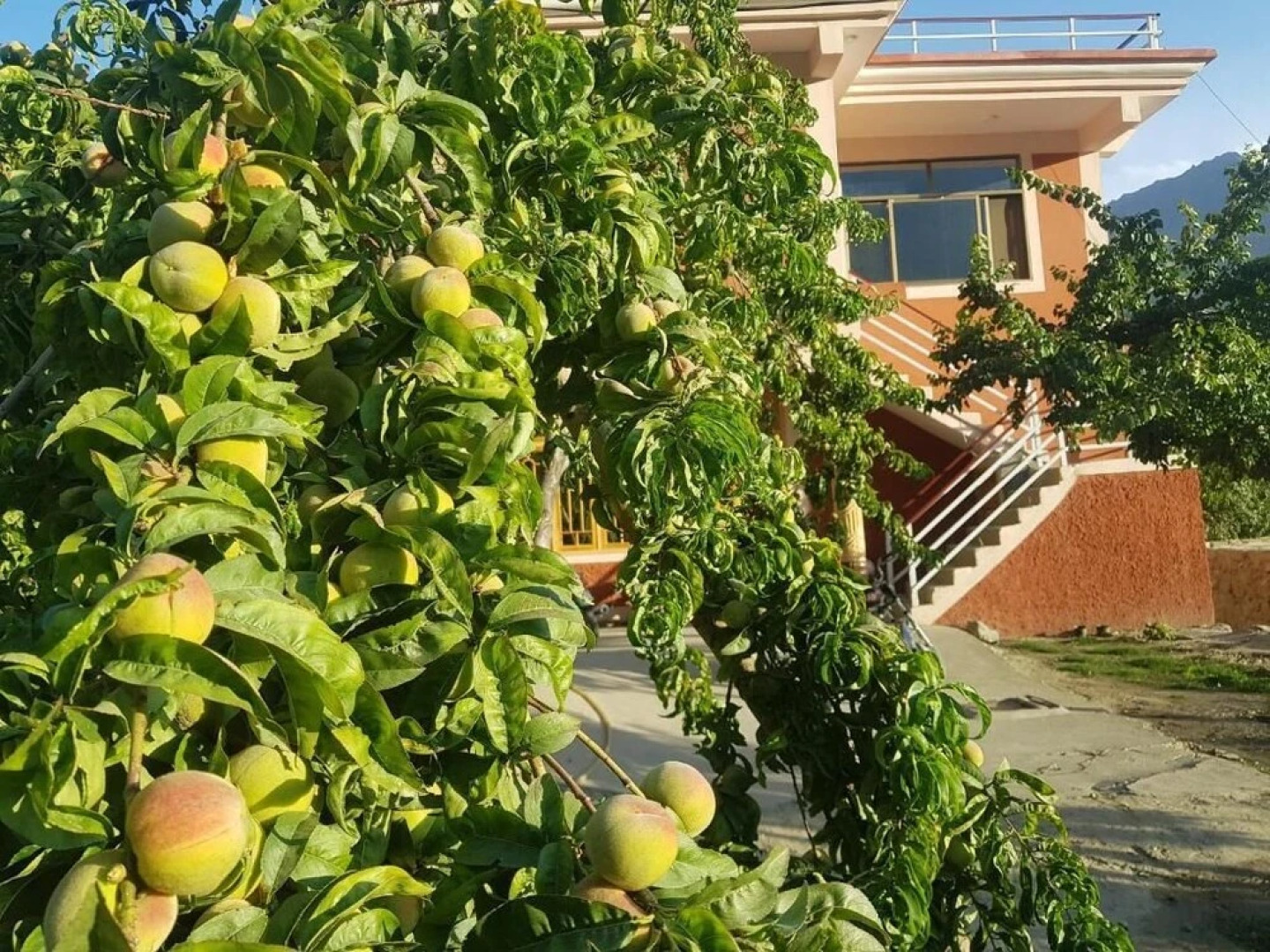 MasakAli Family Guest House