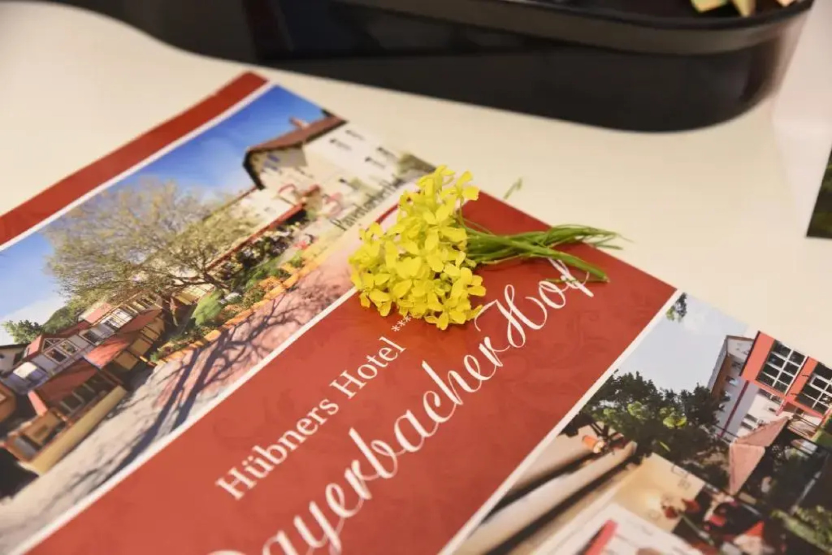 Hotel Payerbacherhof