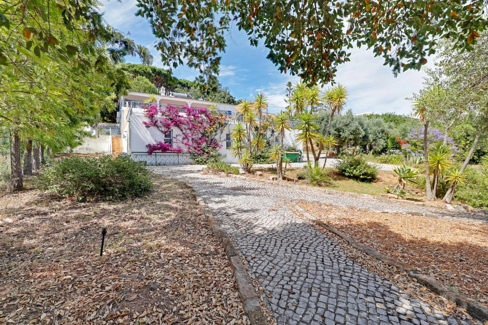 Casa dos Sonhos by Portucasa