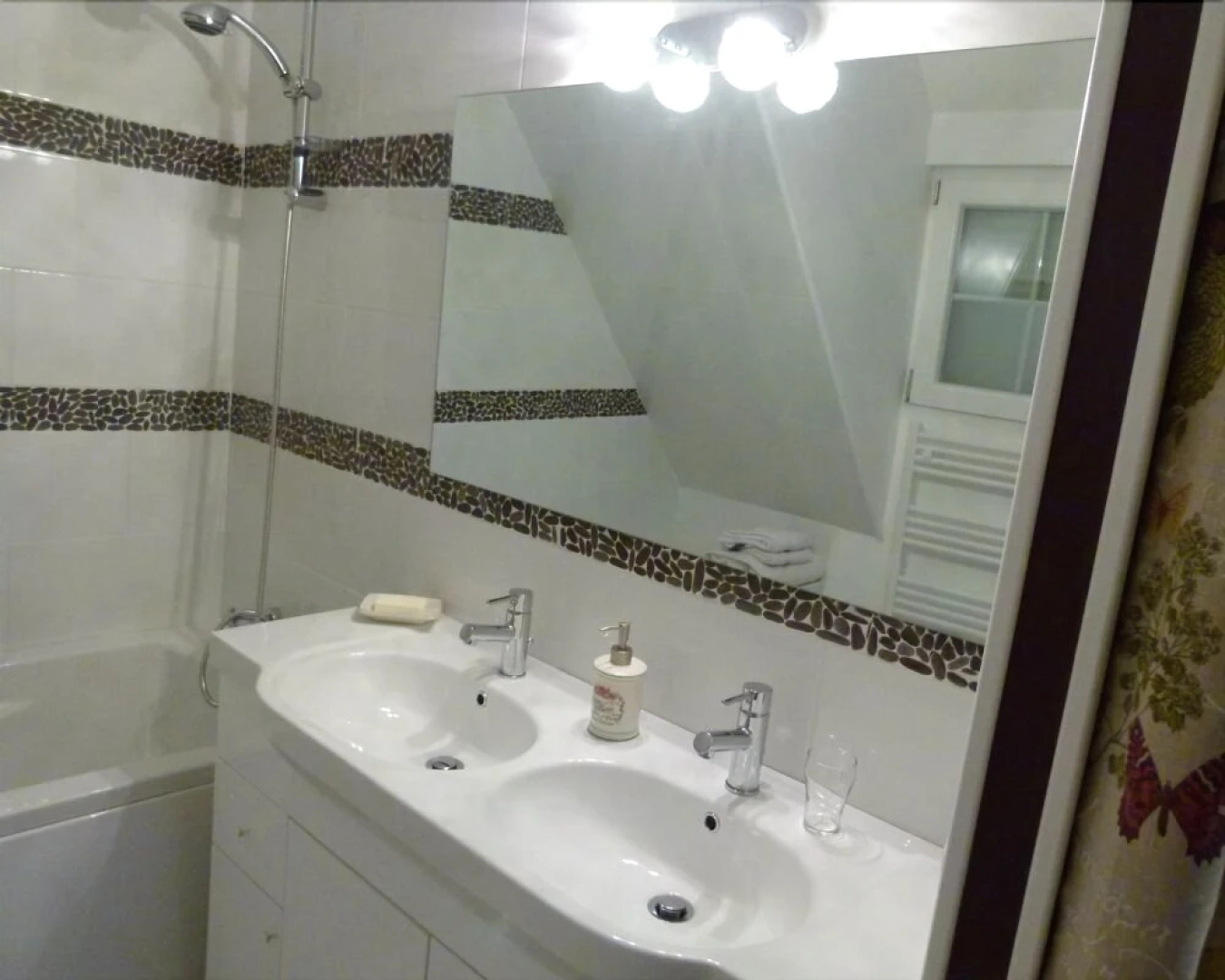 La Bulle des Vies Denses