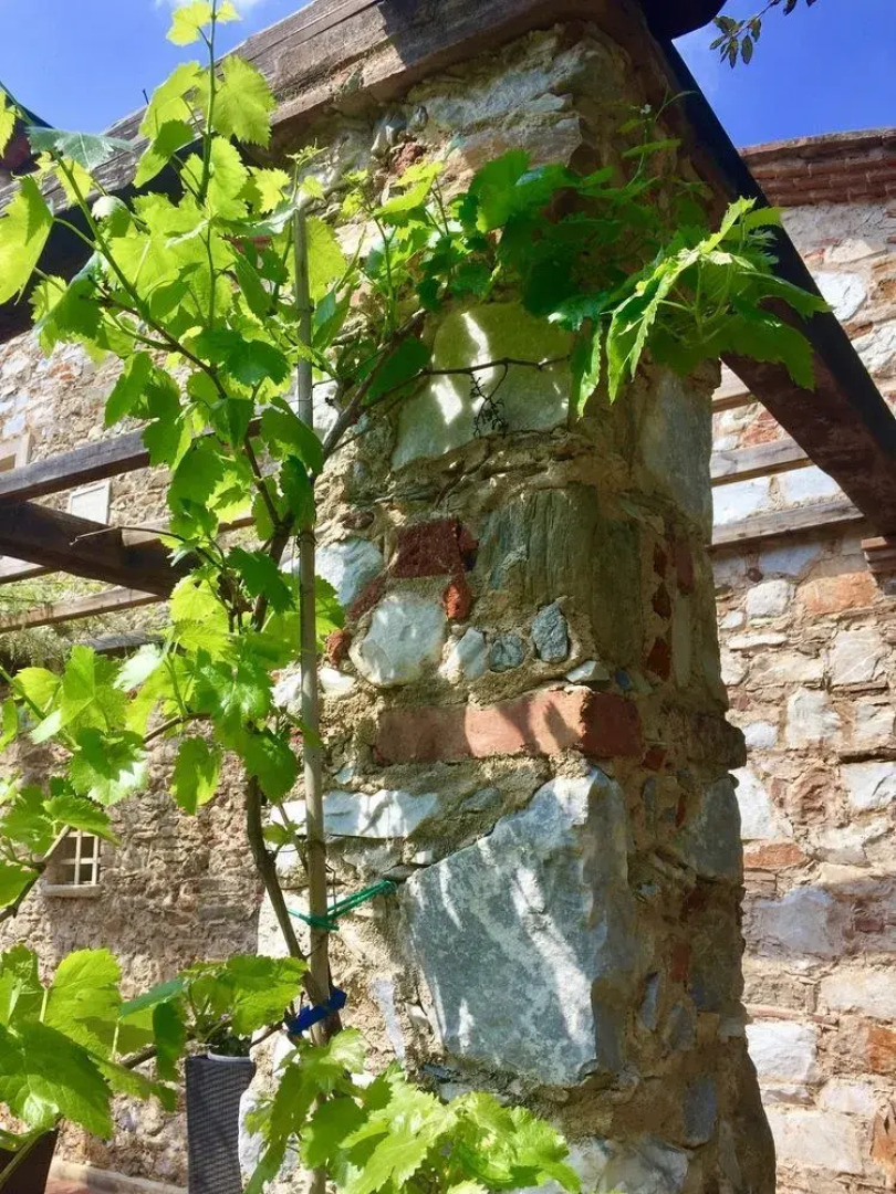 B&B Villa Pietrasanta