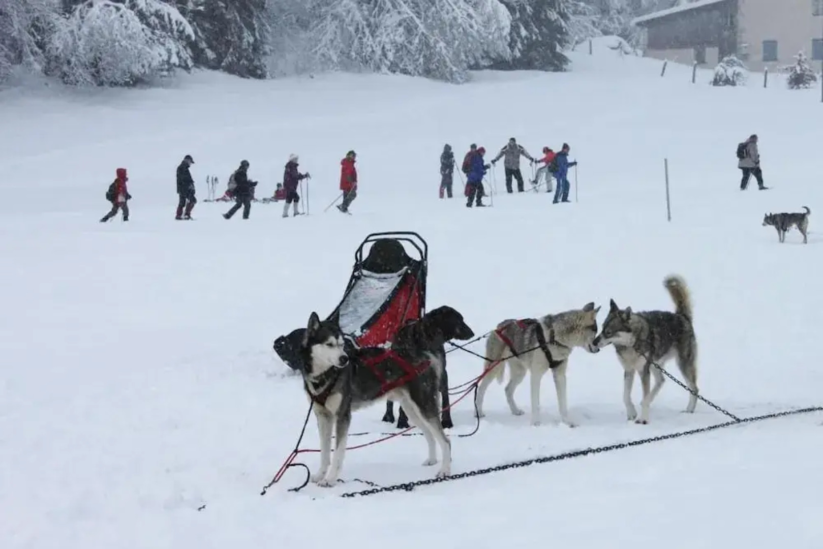 VVF Jura Les Rousses, Prémanon