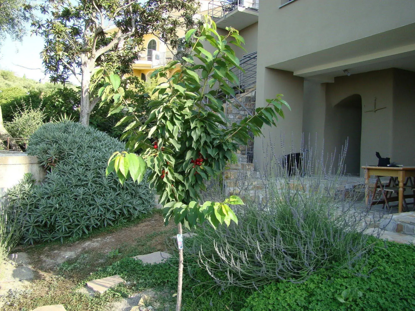 Apartments I Valloni