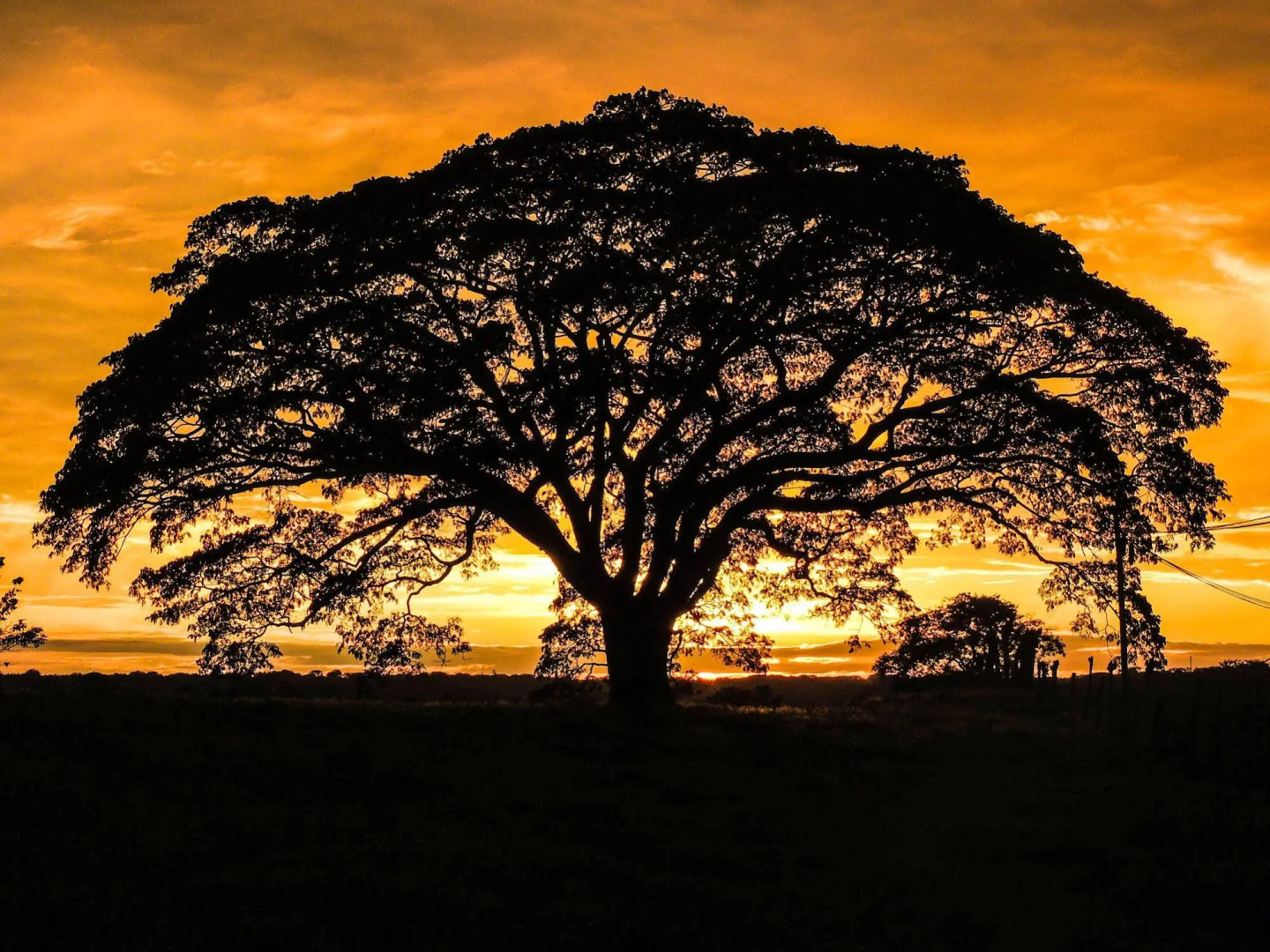 El Sano Banano Beachside Hotel
