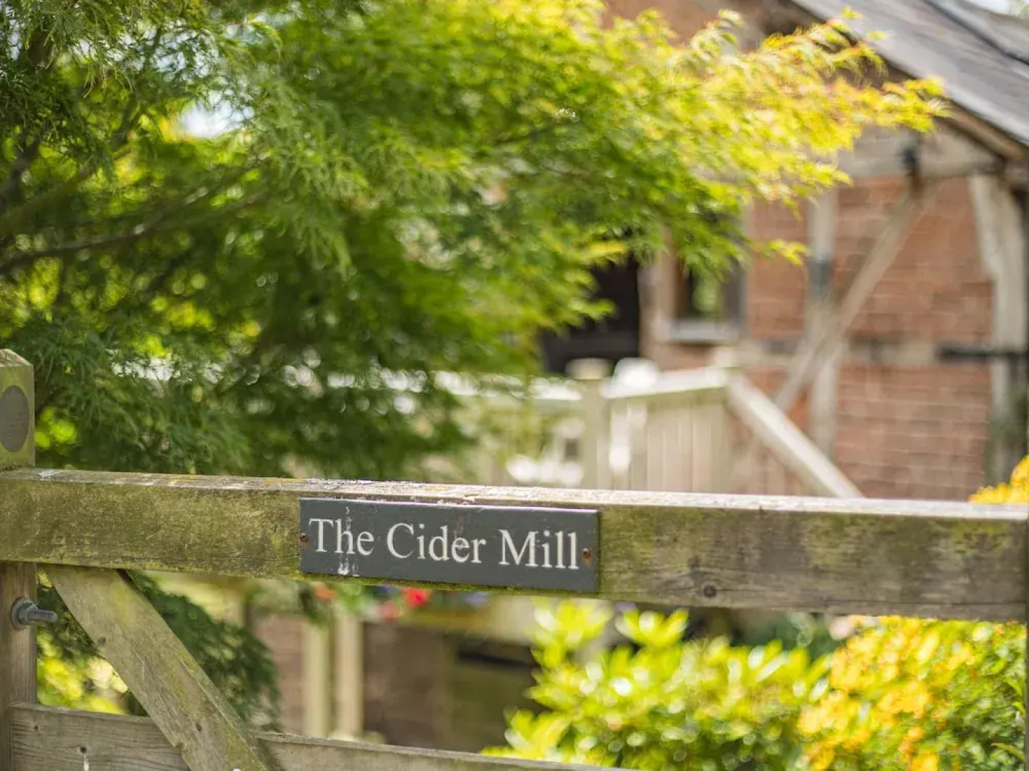 The Cider Mill
