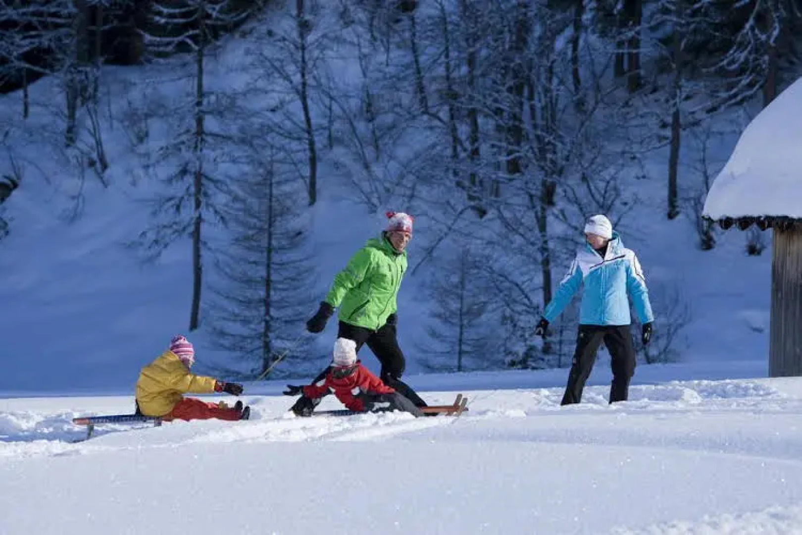 Appartements Insieme