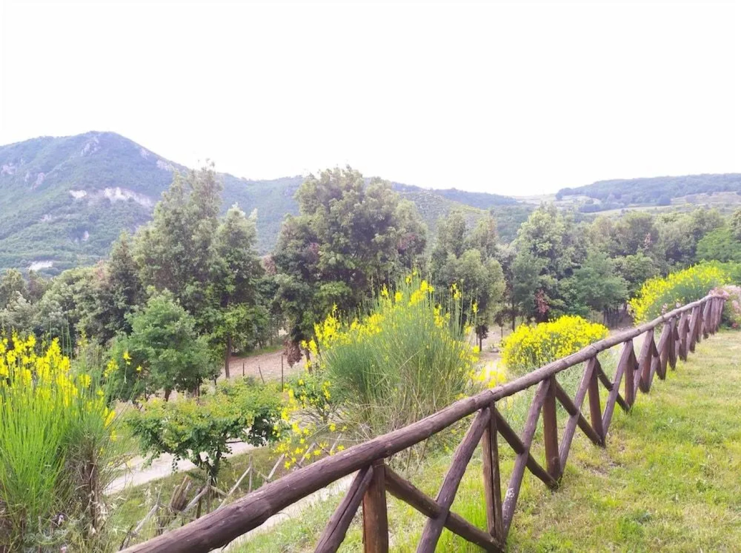 Agriturismo Colloreto