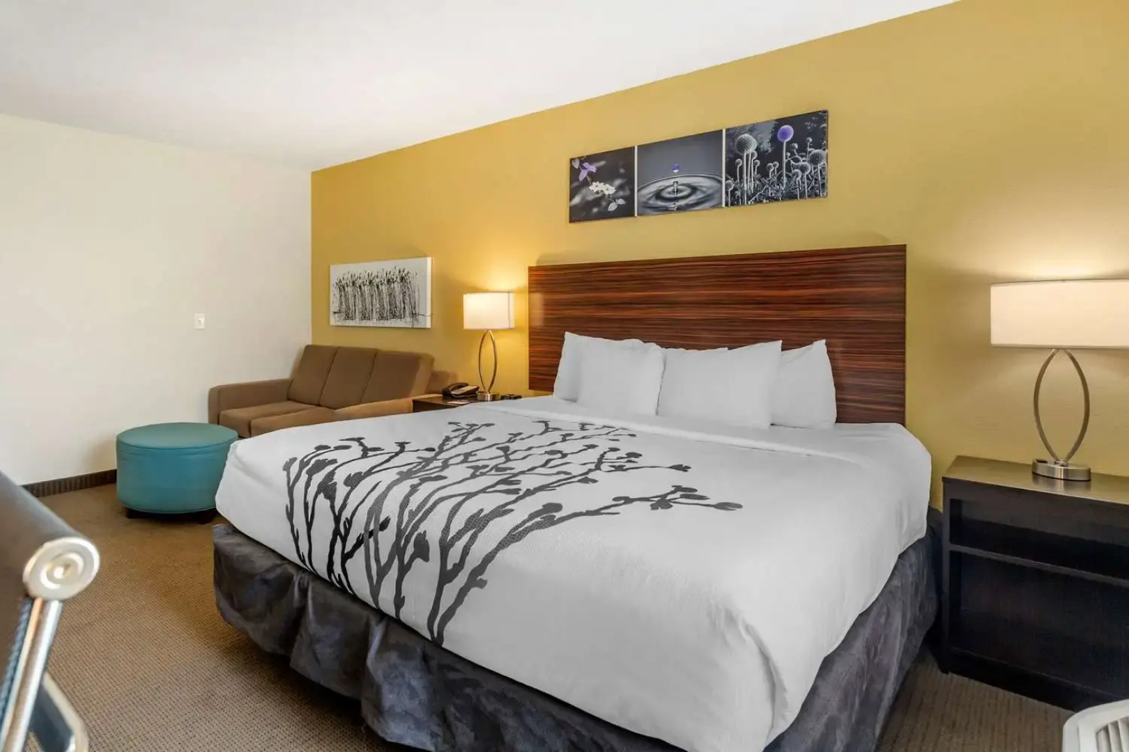 Garner Hotel Clarksville Northeast by IHG