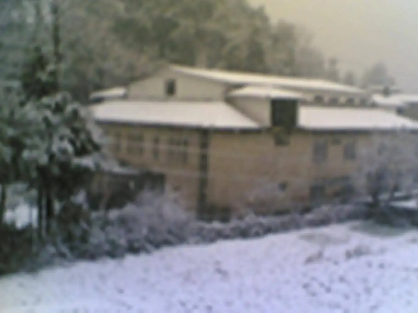 OYO 10959 Hotel Langdale Manor