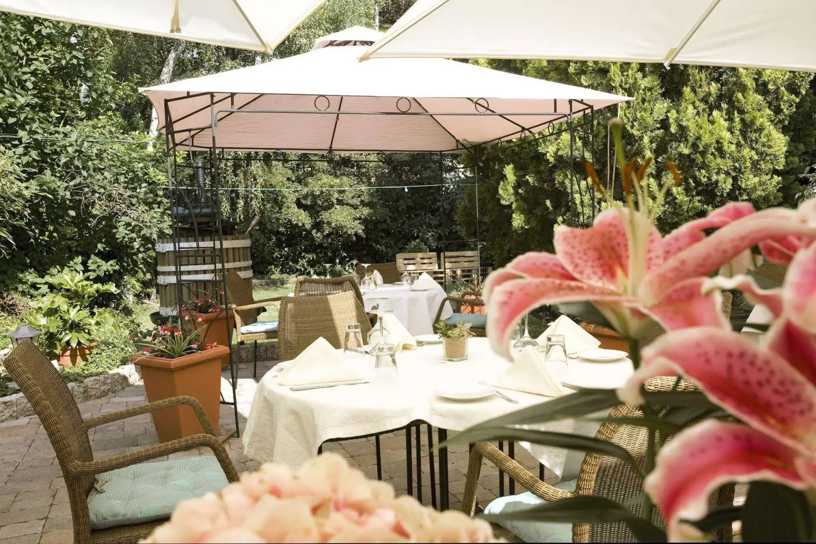 Hotel Blesius Garten