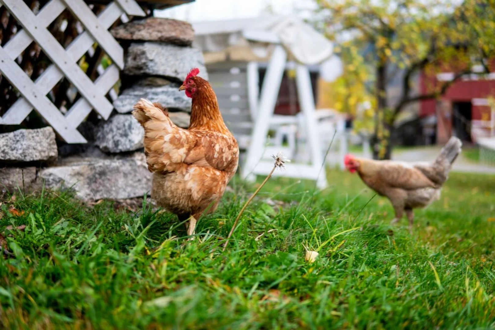 Hesla Gaard Apartments