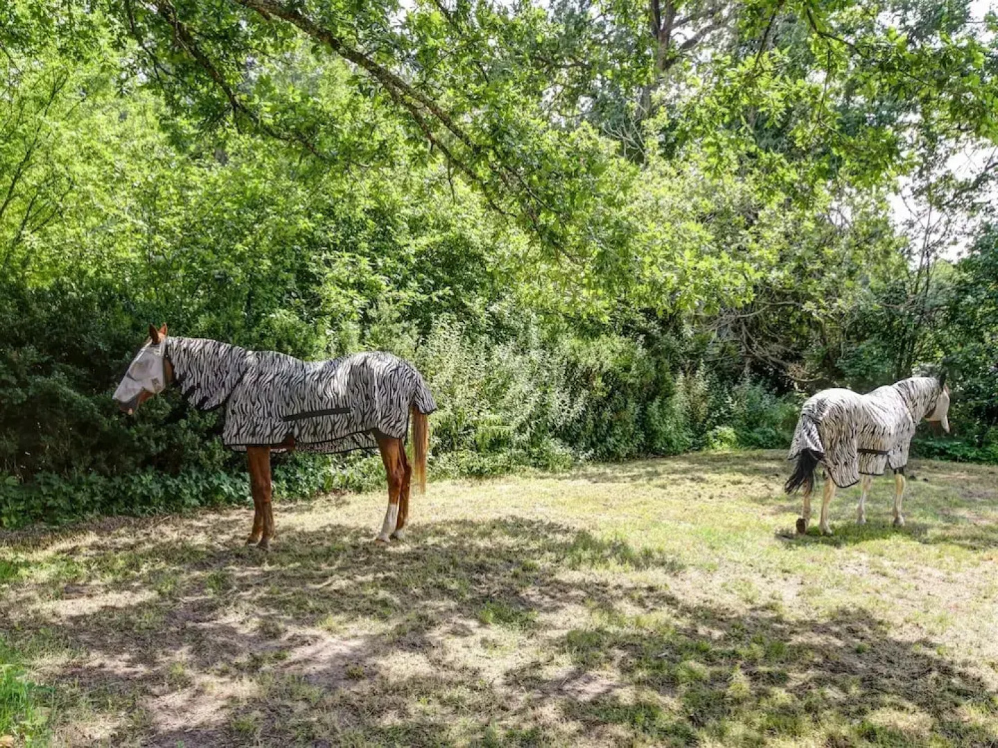 Holiday Home in a Park in Raizeux With Terrace