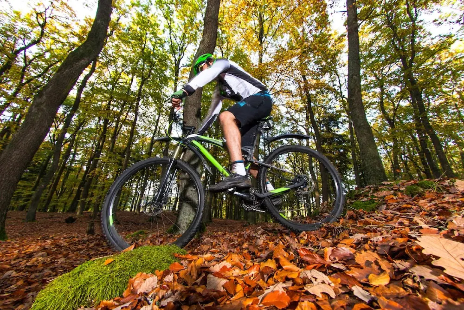 Hotel en Restaurant Wesseling