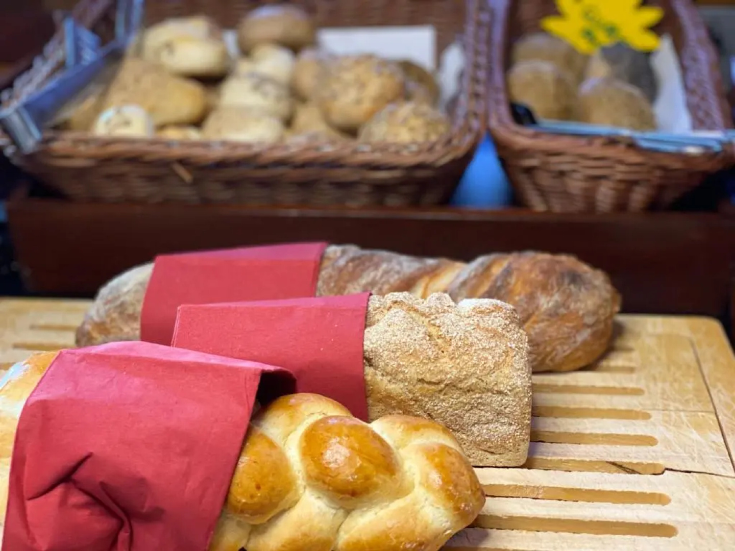 GAIA Hotel Basel - the sustainable hotel