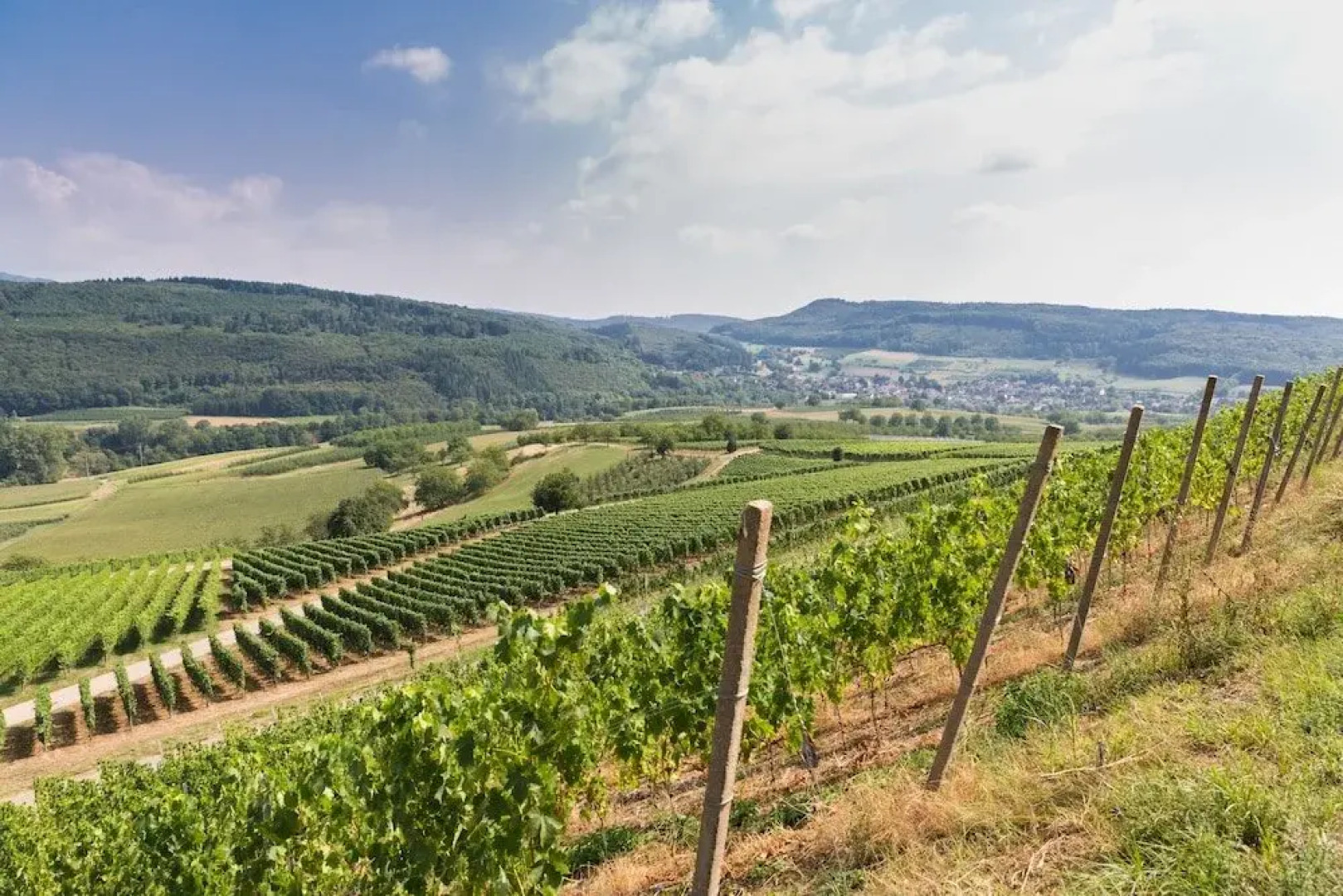 Ringhotel Aparthotel Badblick garni