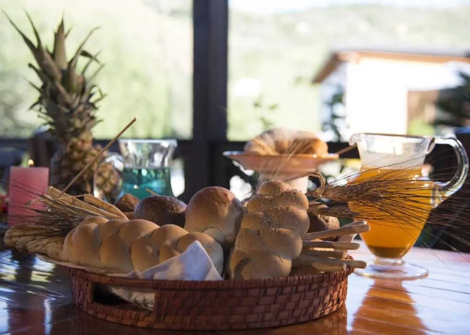 Villa Tresino Flats Santa Maria di Castellabate