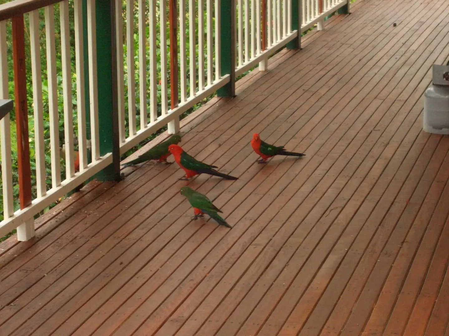 Amamoor Homestead B&B and Country Cottages