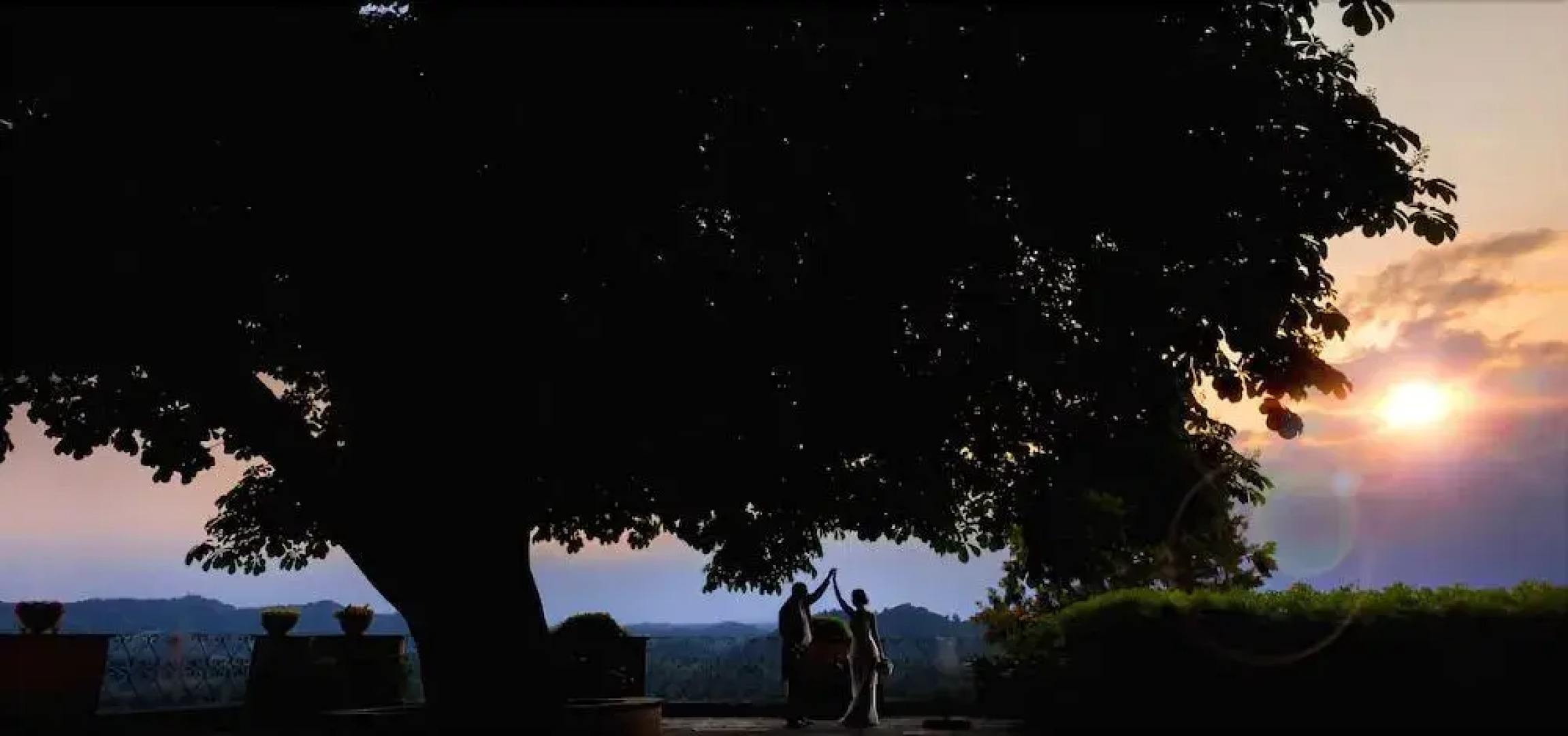 Tenuta Vecchio Castagno