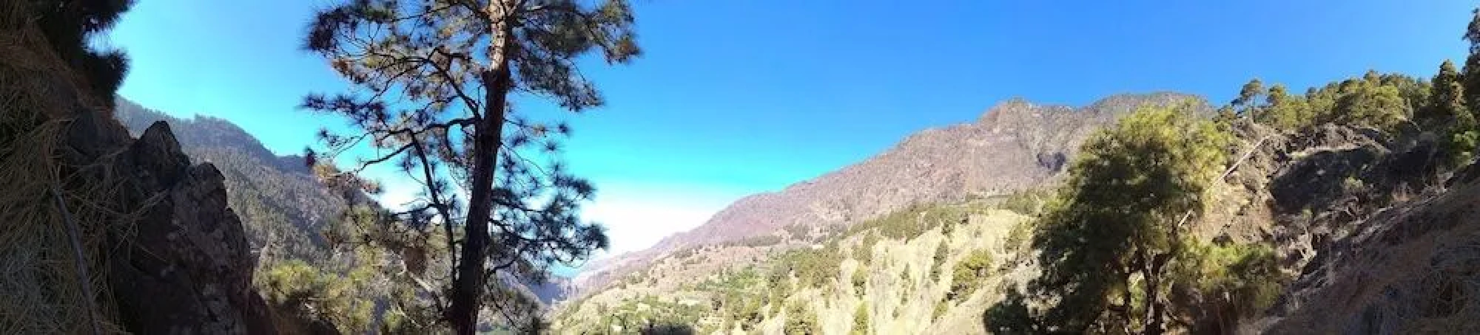 Rivendell Centro de Arte y Retiro-Hostel