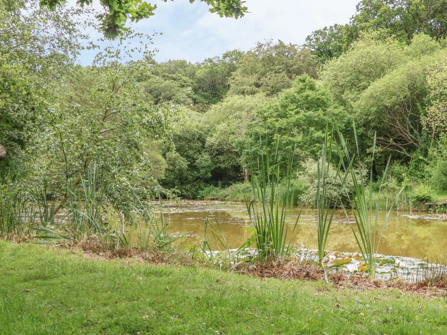 White Hen Kingslakes