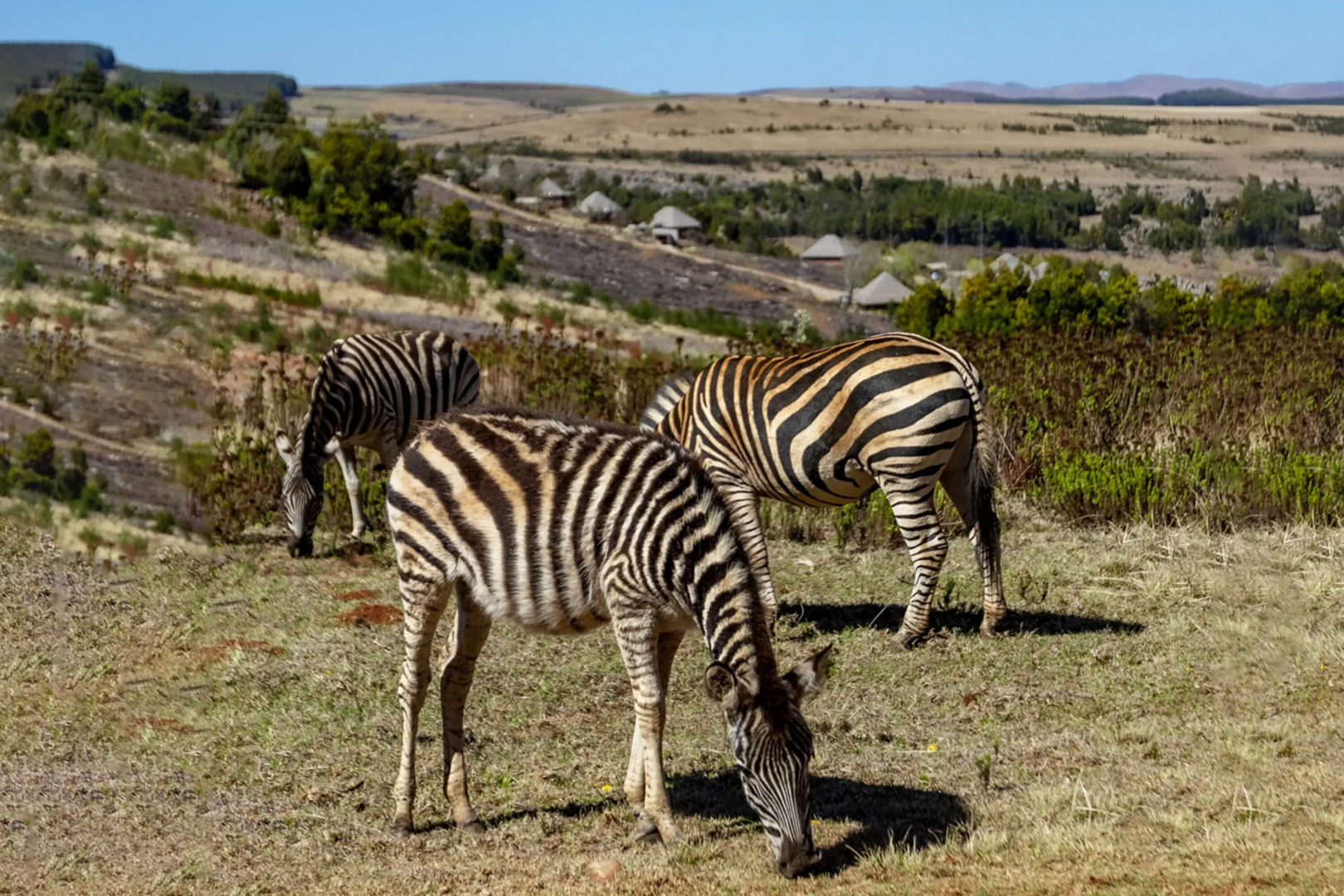 Crystal Springs Mountain Lodge