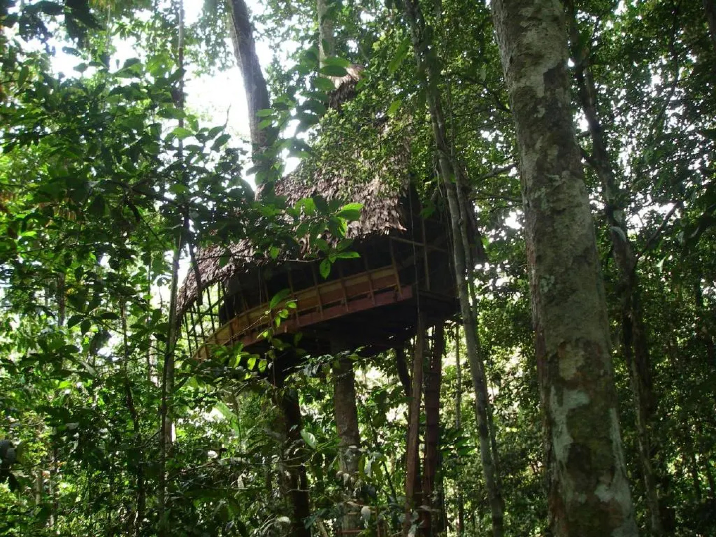 Reserva Natural Tanimboca