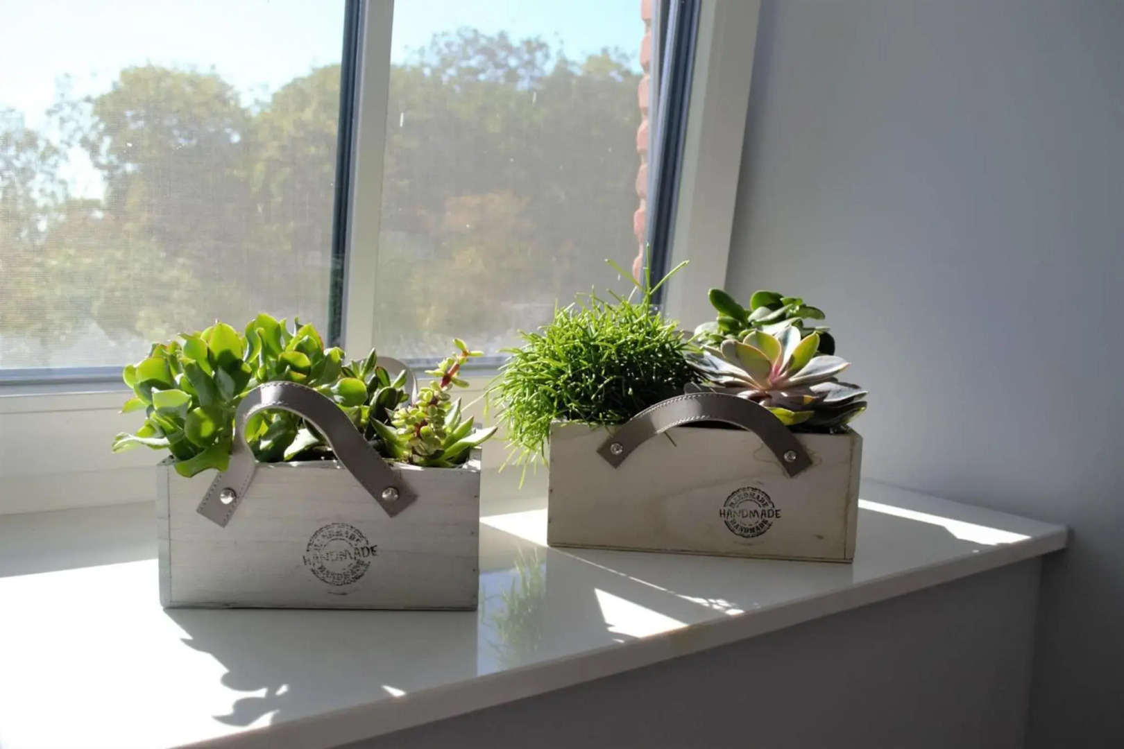 Reetdachhaus Nordstern