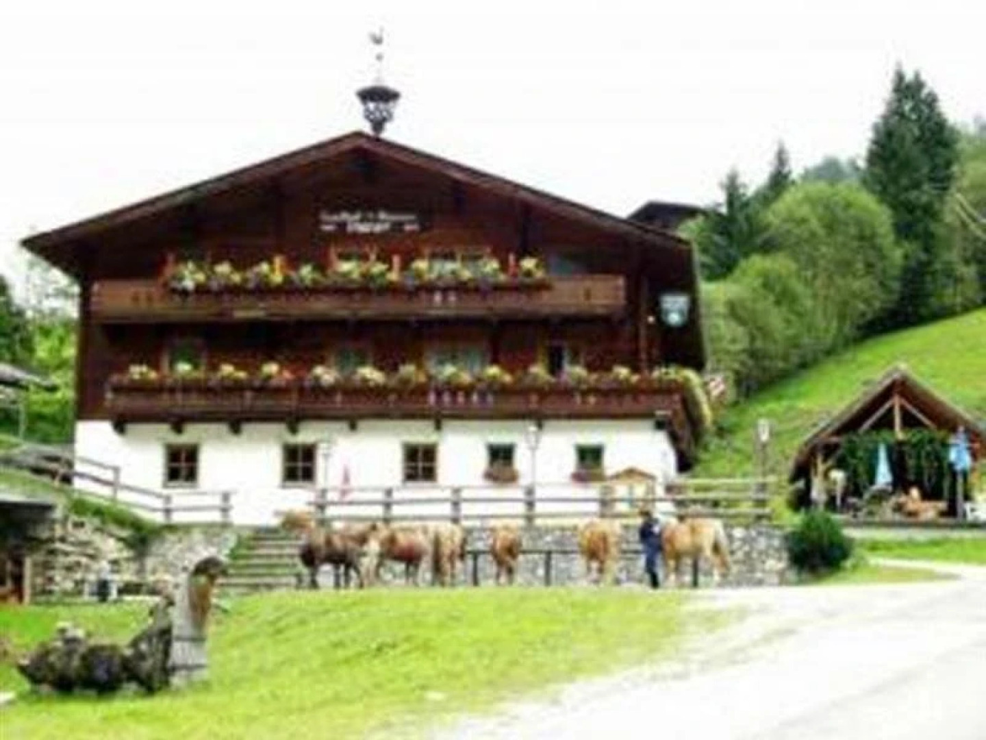 Gasthof Nigglgut Hotel