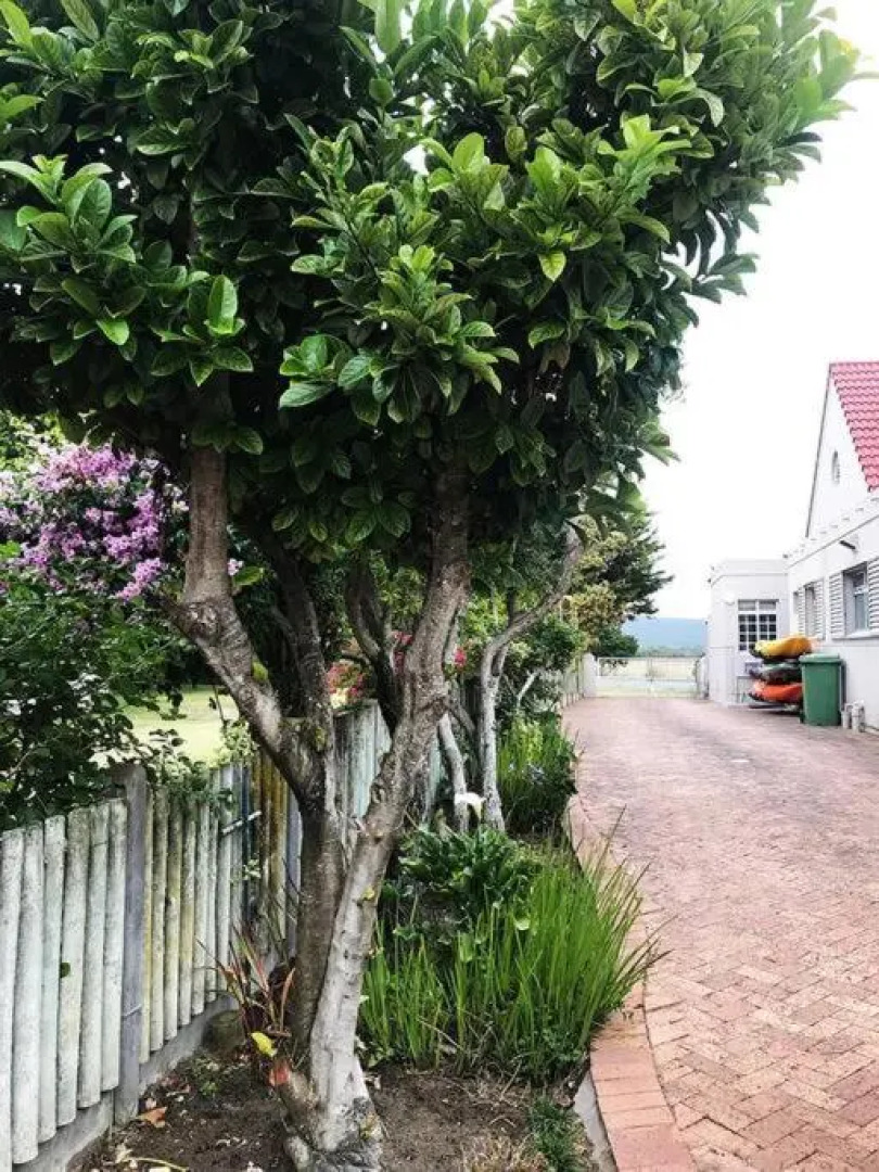 Sedgefield Lagoon Hideout - Kingfisher Drive