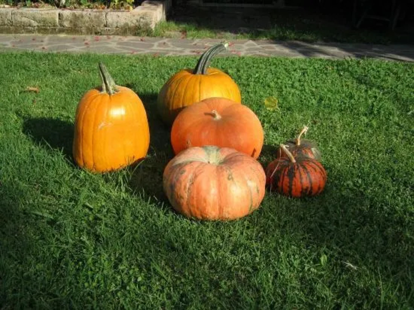 La Casa delle Rondini