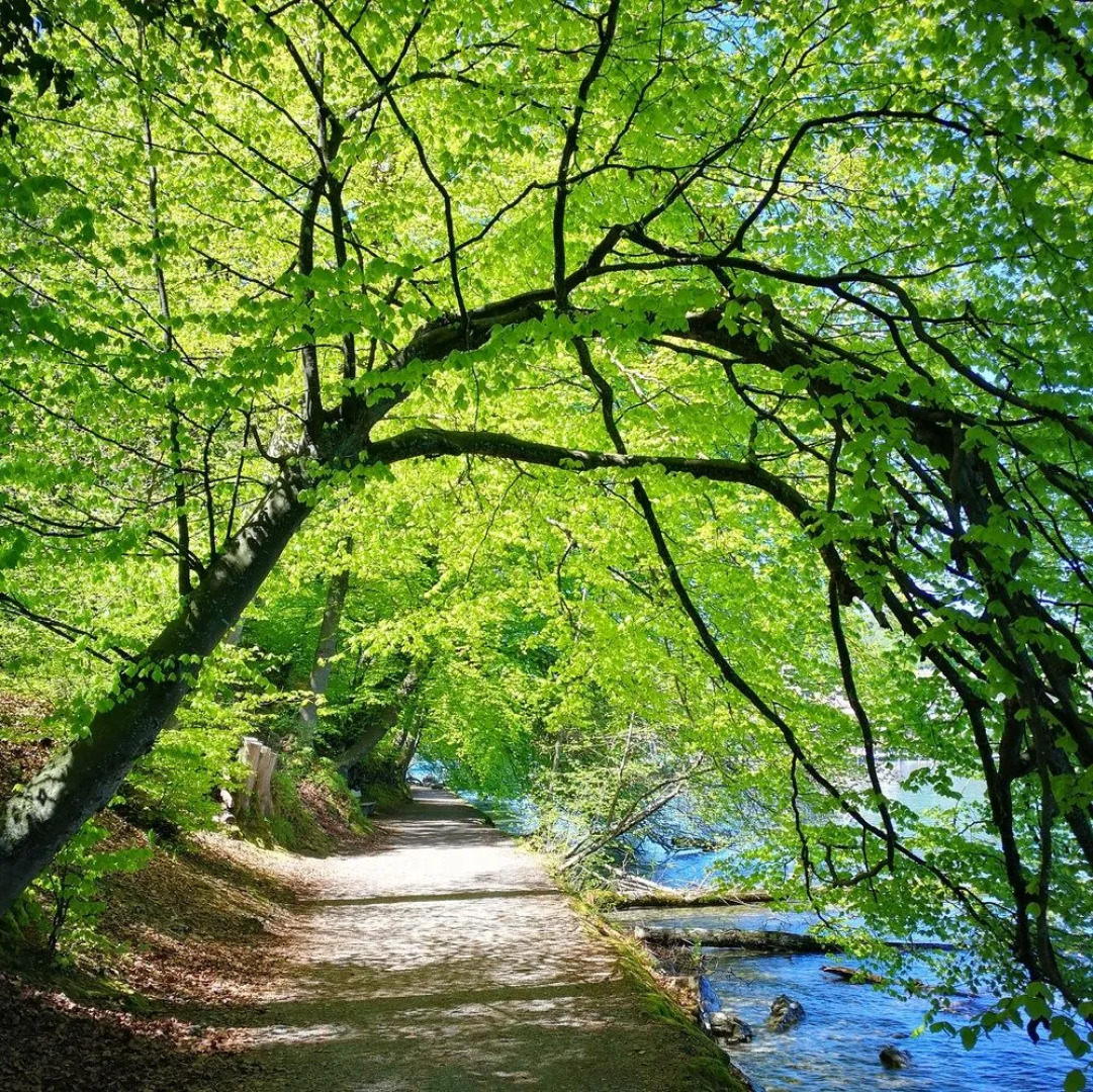 SwissHut Bed&Breakfast