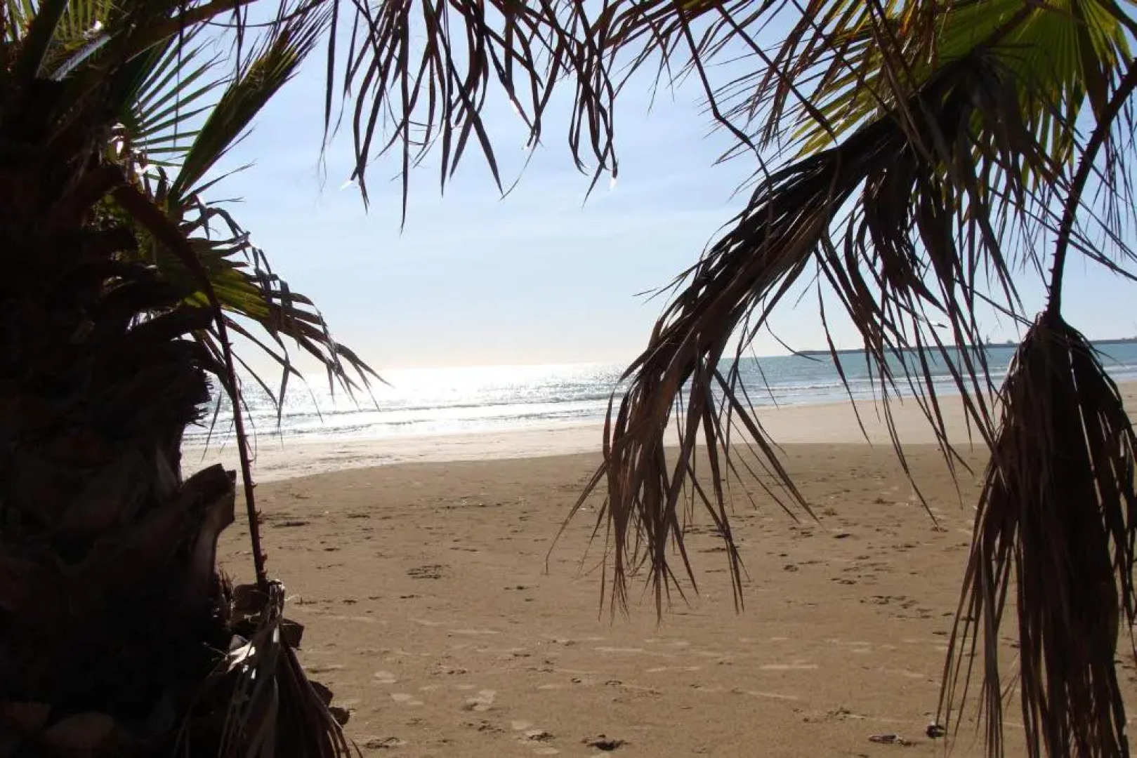 La Villa Rosa al Mare