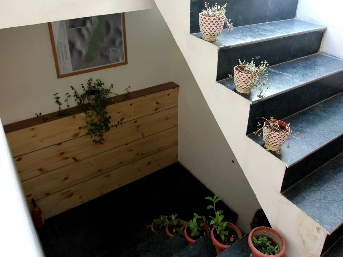 TIH Hotel Mahay Palace