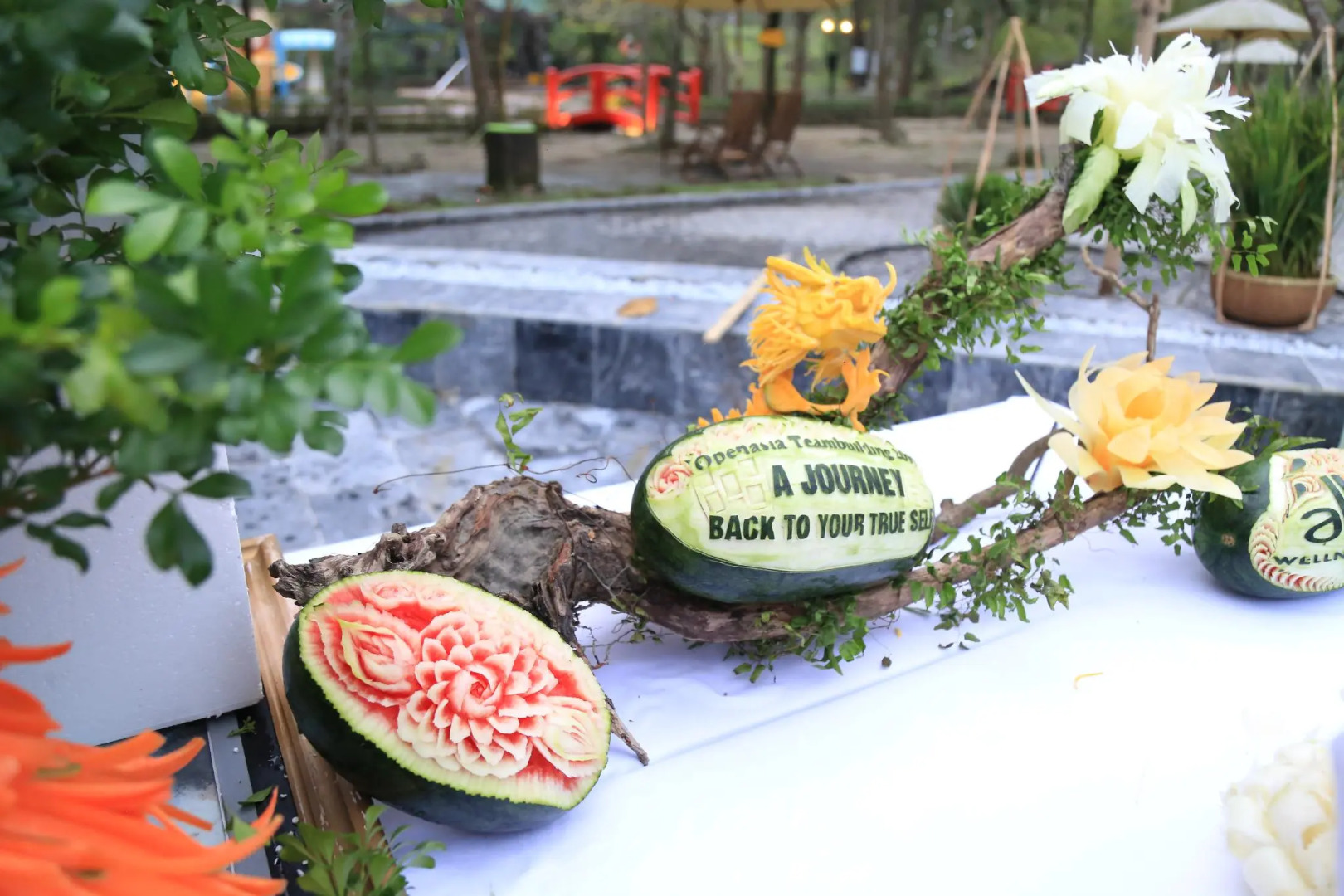 Alba Wellness Valley by Fusion