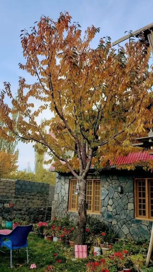Sehrish Guest House Skardu