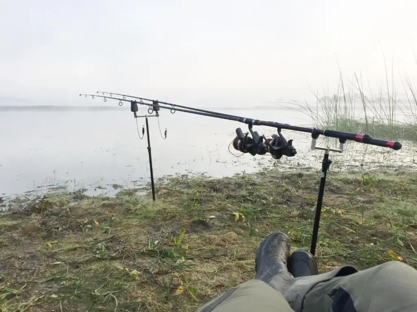 youth hostel arsviva