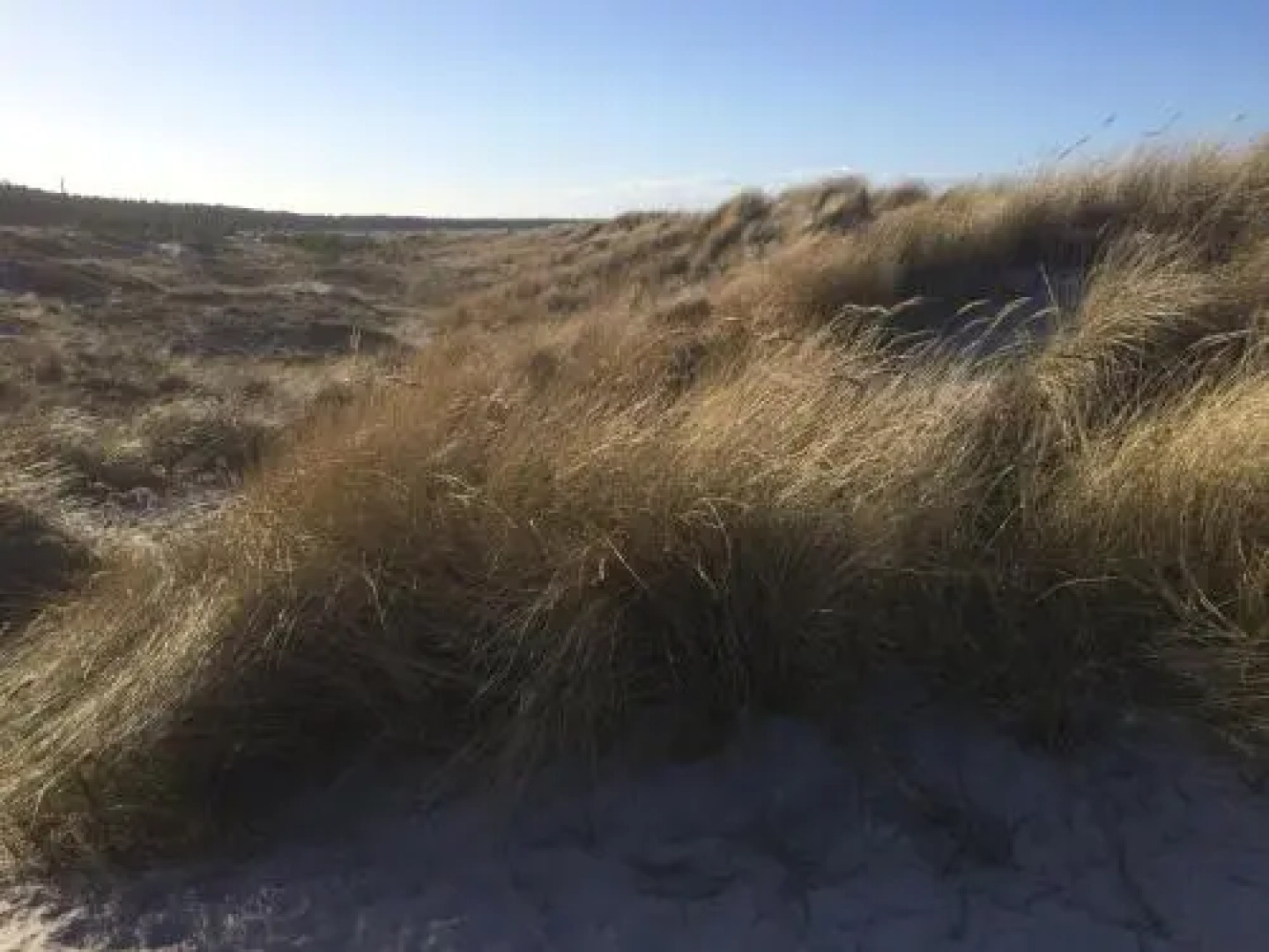 Wohnung Bernstein - Nr. 4