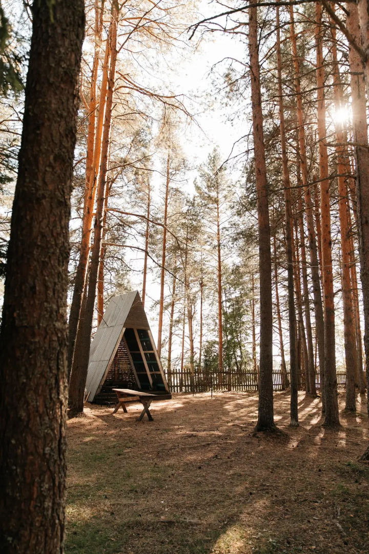 Северная Звезда