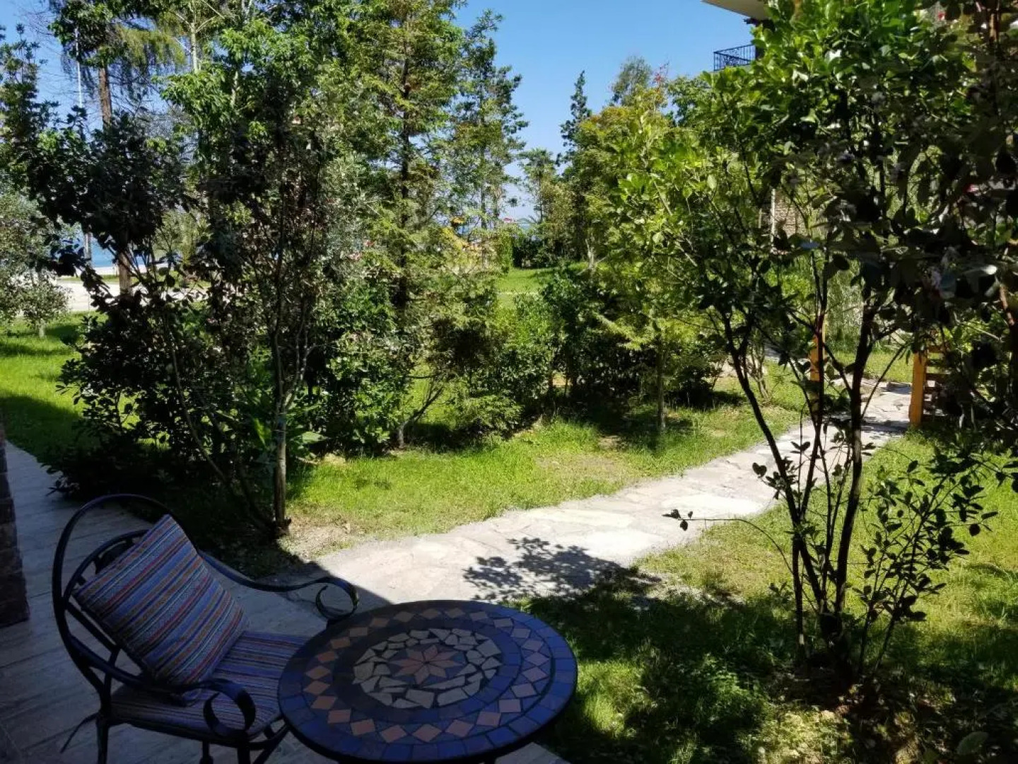 Dreamland Oasis 7 Chakvi