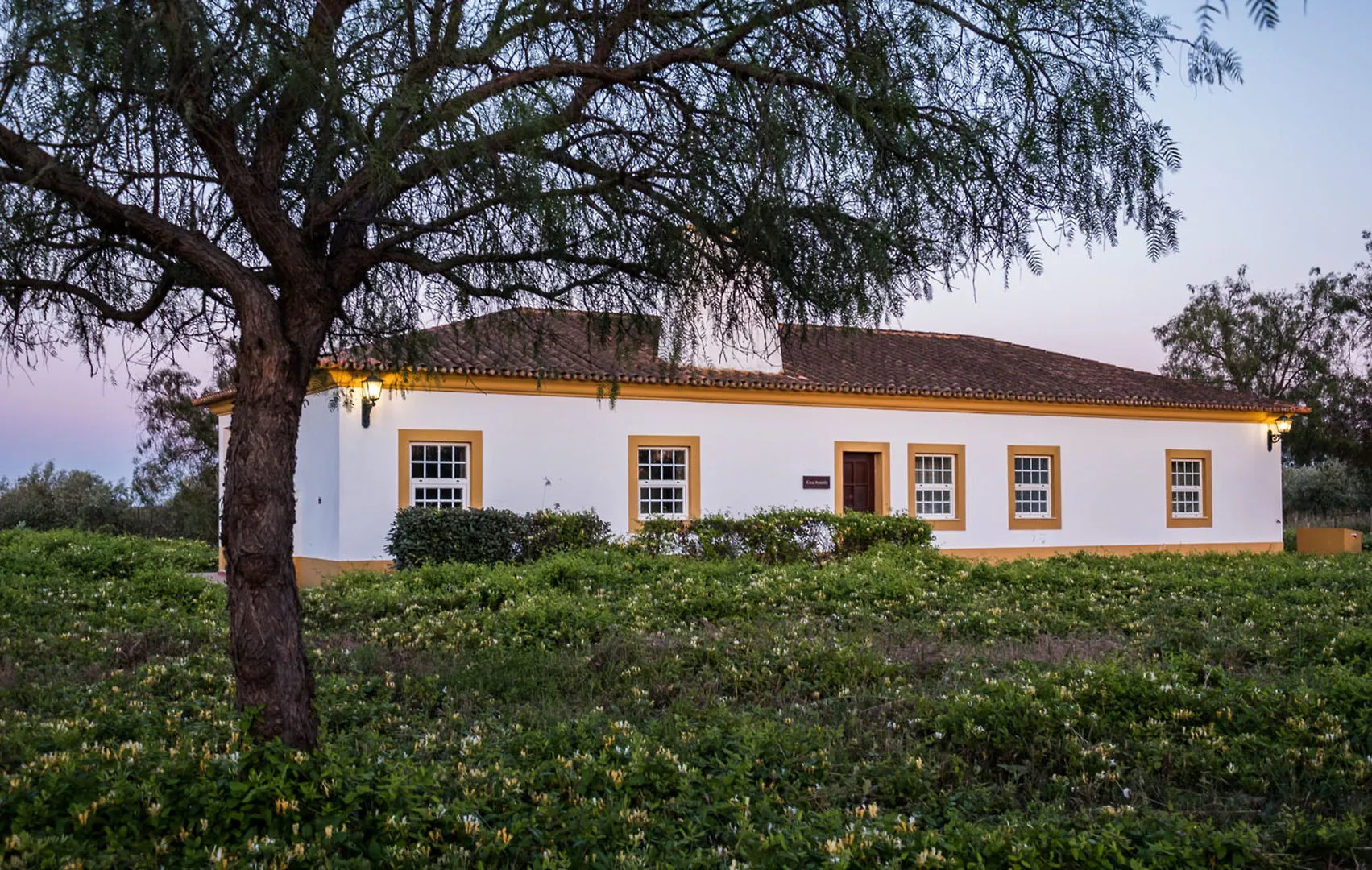 Vila Gale Alentejo Vineyards Hotel - Clube de Campo