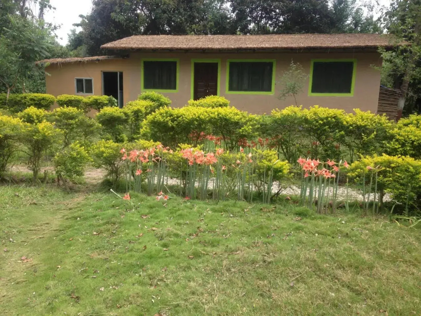 Suklaphanta Jungle Cottage