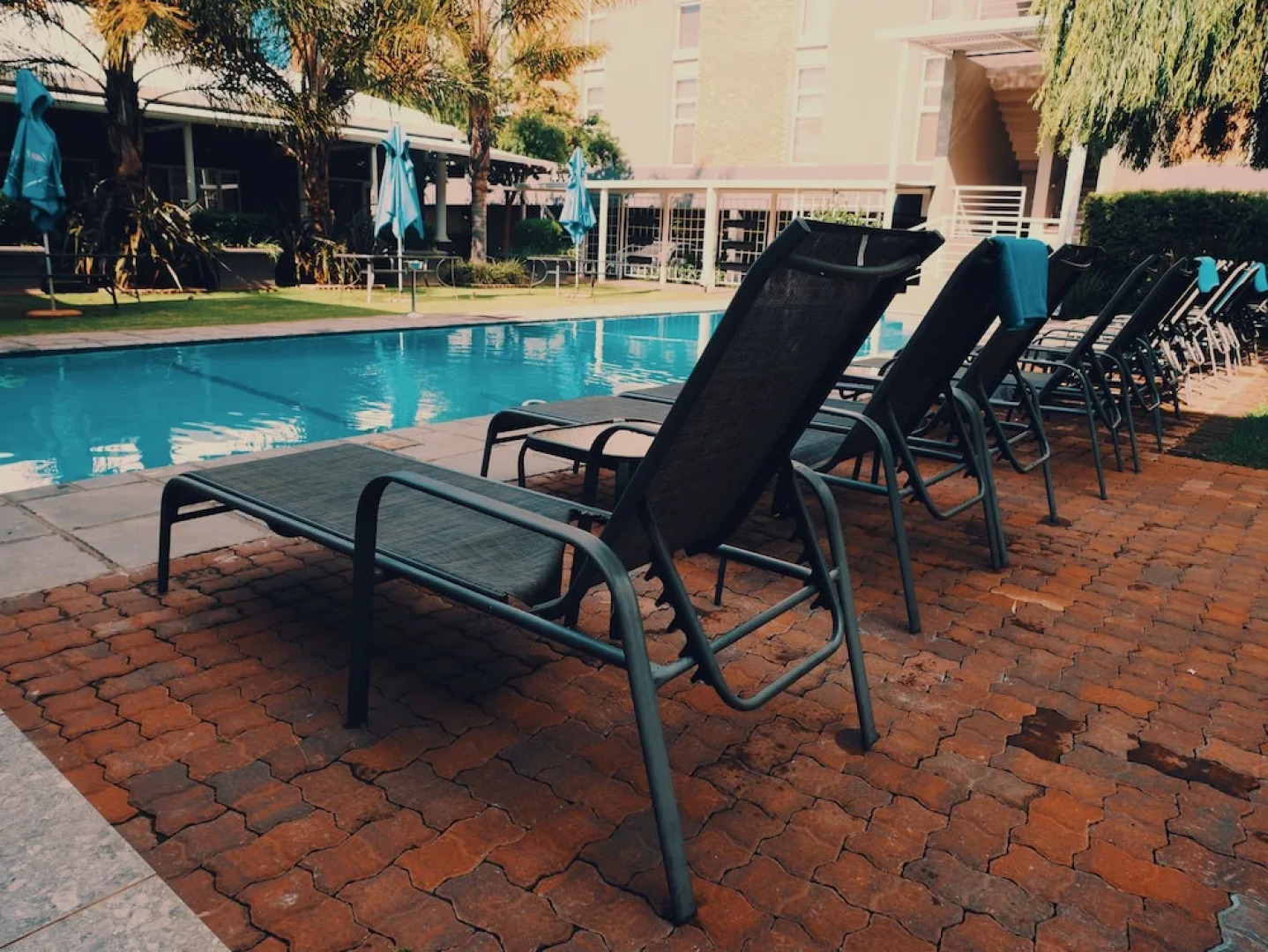 The Aviator OR Tambo