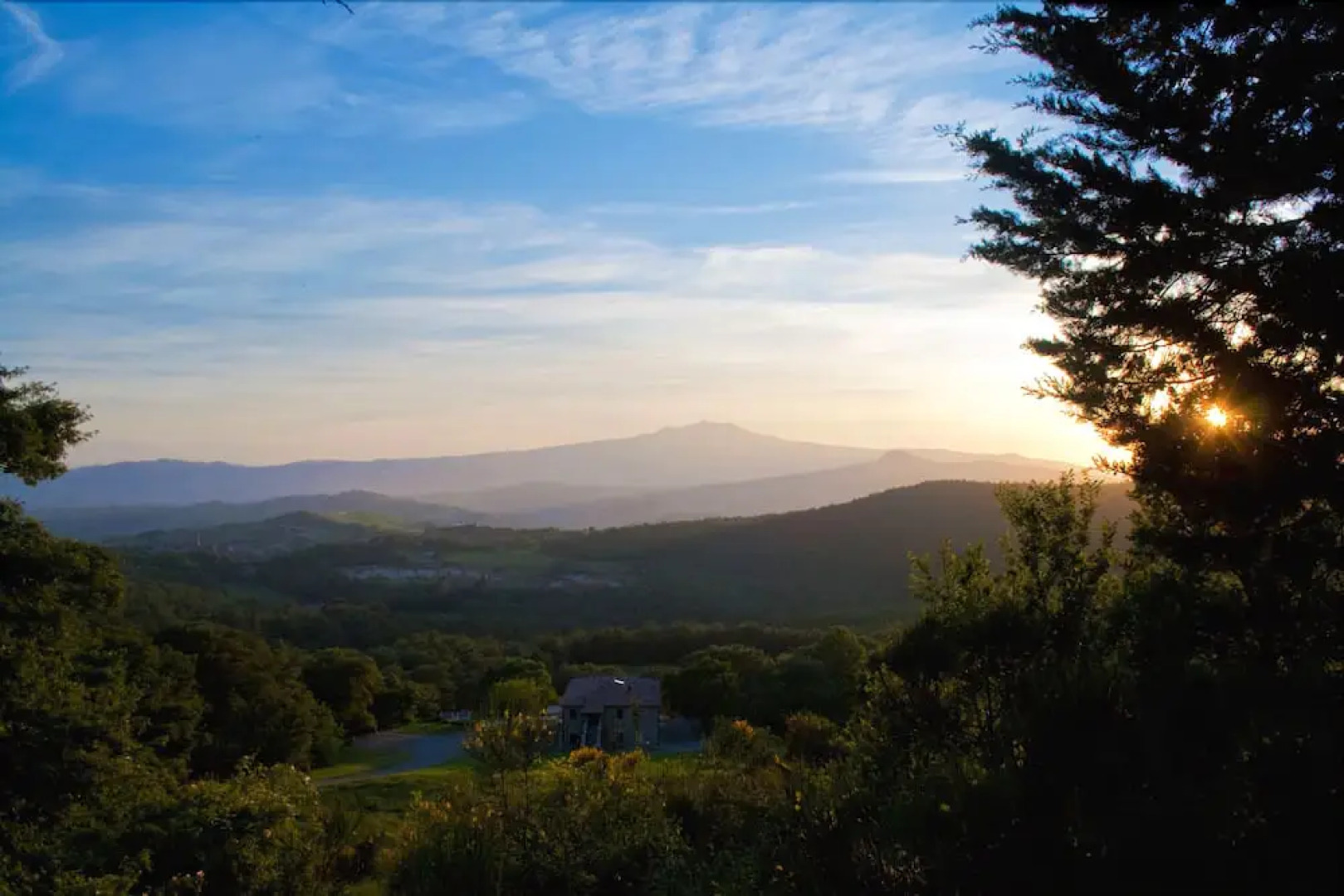 Verdidea - Il Salice